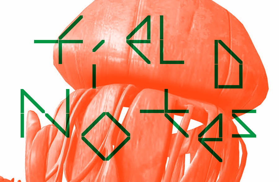 Cluster #14 – Alessandro Massobrio and Valentina Besegher: Sound installation is postponed.