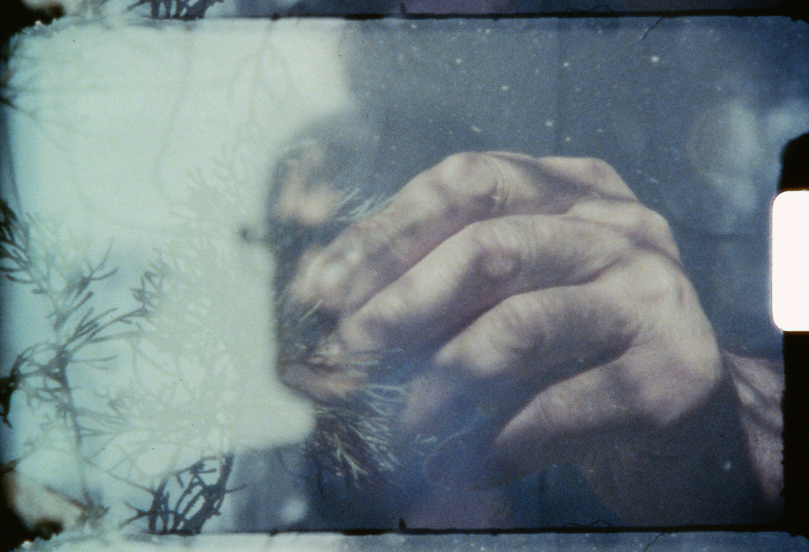 KAMERA SERIES n°6 w/ Andrea Dojmi